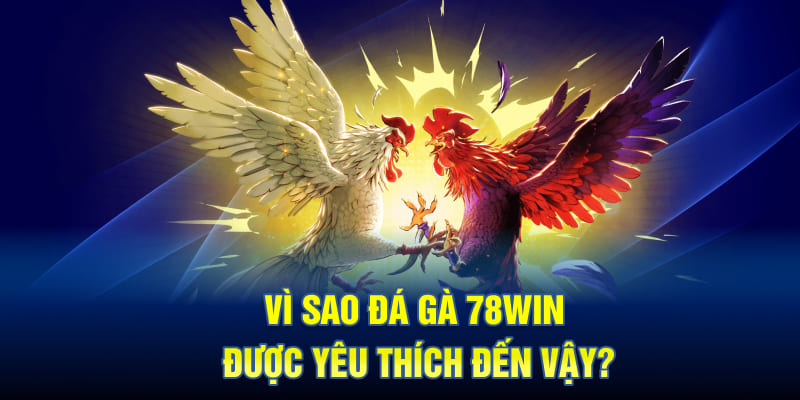 Vì Sao Đá Gà 78WIN Được Yêu Thích Đến Vậy?